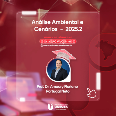 Análise Ambiental e Cenários  -  2025.2