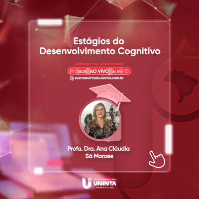 Estágios do Desenvolvimento Cognitivo